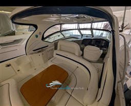 SeaRay 455 panoramica