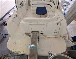 SeaRay 455 pozzetto
