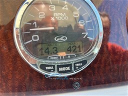 Sea Ray 335 ore moto