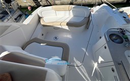 Sea Ray 335 pozzetto