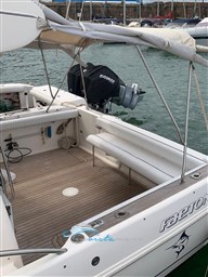 Faeton 980  pozzetto