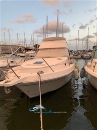 Faeton 980  esterno 3