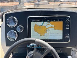 Quicksilver raymarine