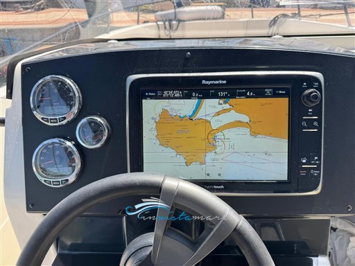 Quicksilver raymarine