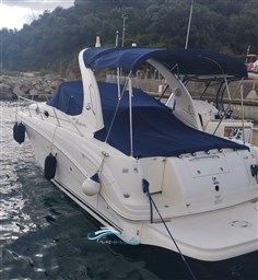 Sea Ray 335  esterno 2