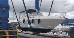 Sea Ray 335  alaggio