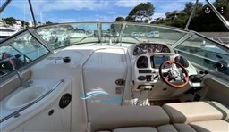 Sea Ray 335  guida esterna