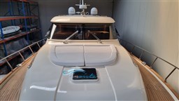 Dolphin 51 vista prua