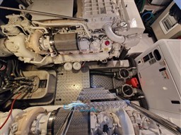 d0c438f3-e199-46fc-a6d4-ed7f23bfdbe8.jpeg