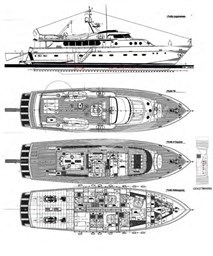 PAOLUCCI Spec YZ-4-50.jpeg