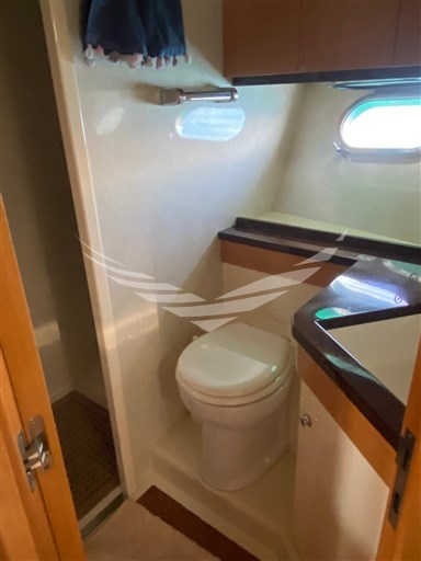 PHOTO-2025-08-26-20-11-57 2.jpg