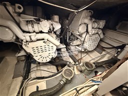 IMG_7104.jpeg