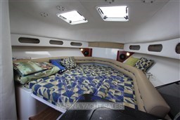 PRO-LINE 32 EXPRESS (3)