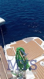 WhatsApp Image 2023-07-26 at 12.49.00