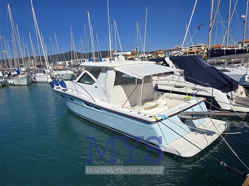 TIARA 3600 OPEN(126)
