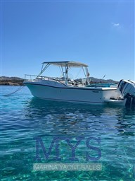 Mako 295 (23)