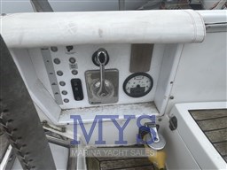 IMG_5633.jpeg