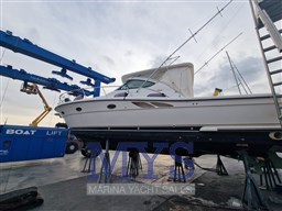 Immagine WhatsApp 2024-11-22 ore 11.27.16_95257a8b