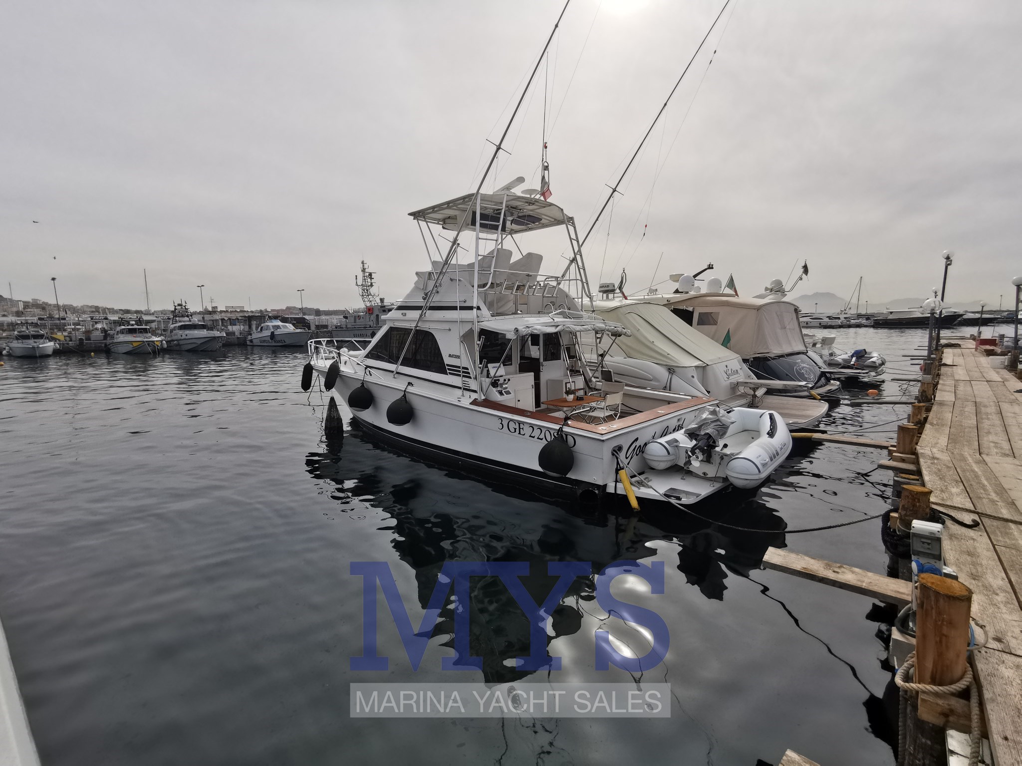 Blackfin 38 Profilo.jpg