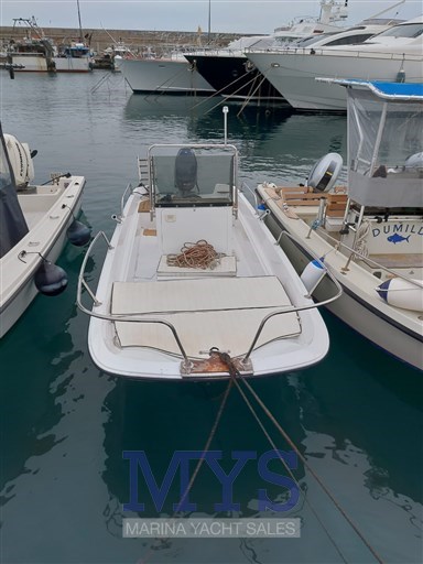 Boston Whaler 17 Montauk