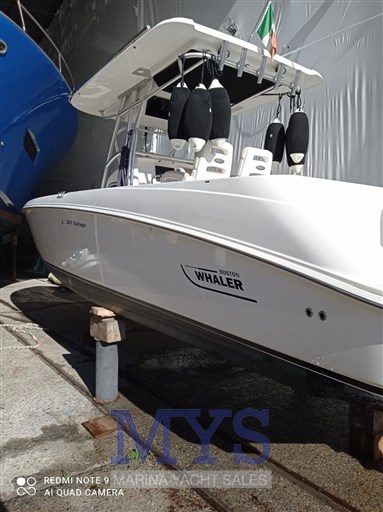 Boston Whaler 320 (30)