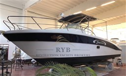 SAVER 300 WA 2017 RYB