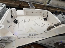 FAETON MORAGA 11.80 2005 RYB (10)