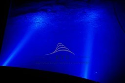 prestige 34 ht 2008 ryb (10)