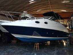 REGAL MARINE 242 1999 RYB (2)