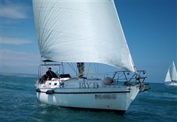 DULLIA 108 1982 RYB (4)
