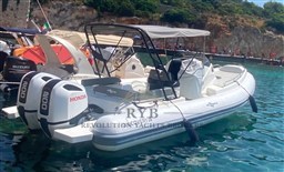 ALTAMAREA DISCOVERY 28 2023 RYB