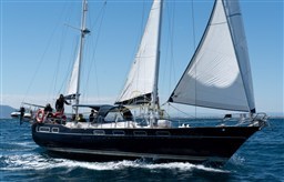 WAUQUIEZ 43 1980 RYB (7)