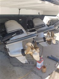 salpa laver 38.5 2008 ryb (29)