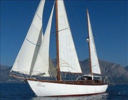 SALANI E CECCHI 1972 RYB (20).jpeg