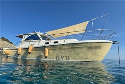GOLDSTAR 360 2007 RYB (21)