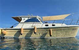 GOLDSTAR 360 2007 RYB (20)