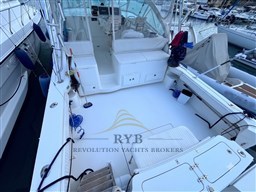 ALBEMARLE 360 2008 RYB