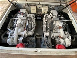 MOCHI  44 1991 RYB  (23)