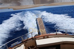 12 Hydraulic Gangway