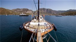 6 View from the front