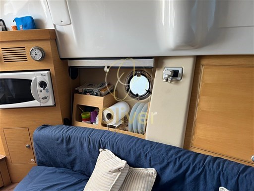 Immagine WhatsApp 2024-10-16 ore 07.32.10_4541a3c9