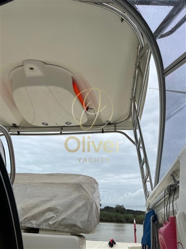 Immagine WhatsApp 2024-10-16 ore 07.33.31_3ad0b183