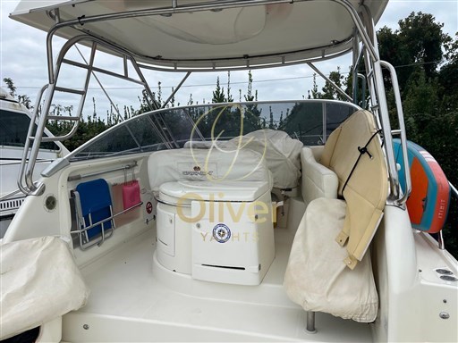 Immagine WhatsApp 2024-10-16 ore 07.31.36_1f413b48