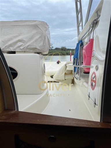 Immagine WhatsApp 2024-10-16 ore 07.33.31_52b5c53e