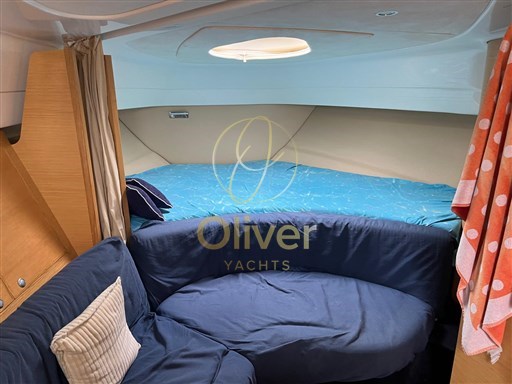 Immagine WhatsApp 2024-10-16 ore 07.31.36_a0f037e0