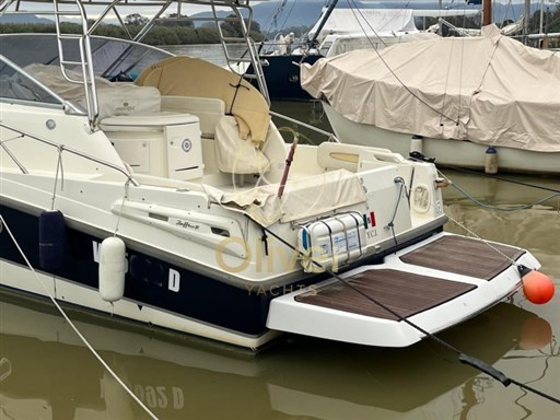 Immagine WhatsApp 2024-10-16 ore 07.30.52_6ff65606