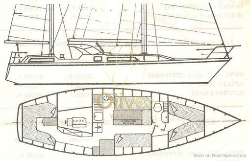 amel-sharki-layout-1