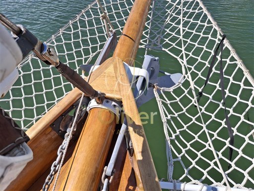 Immagine WhatsApp 2025-07-30 ore 16.48.26_676161a5