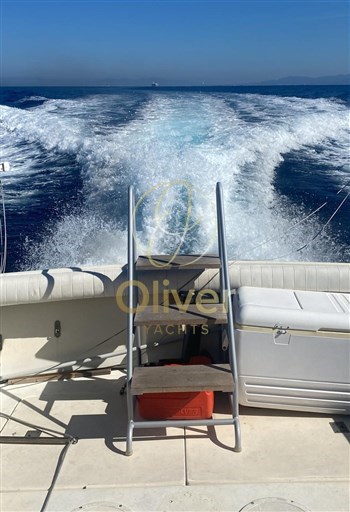 Immagine WhatsApp 2025-10-11 ore 08.42.35_3ca69624