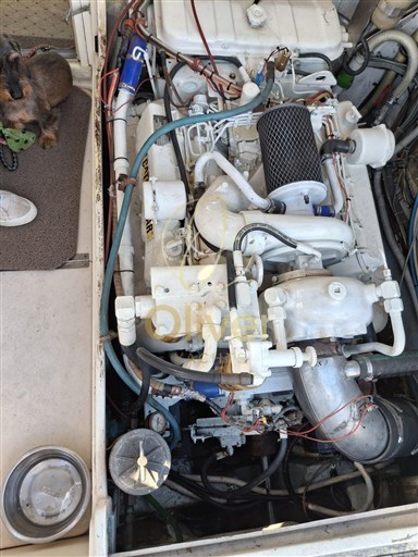 Immagine WhatsApp 2025-10-11 ore 10.33.44_567d7f0d